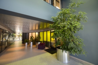 interior plant design and installation