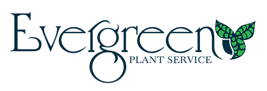 Evergreen Plant Services Logo