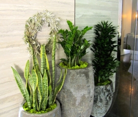 interior plant design