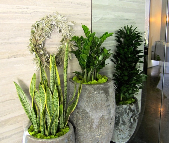 interior plant design