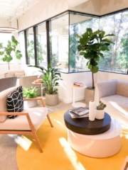 interior plant design and installation