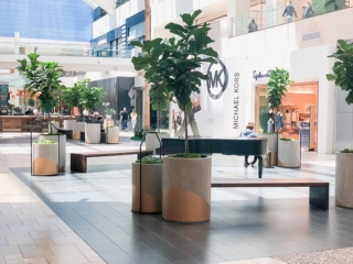 mall Interior plant service