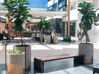 mall Interior plant service