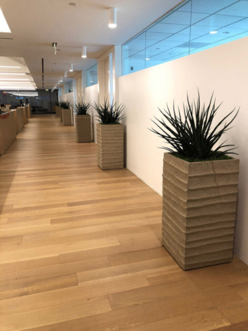 office plant design