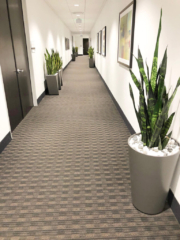 office plant design